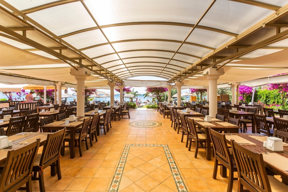 رستوران رستوران