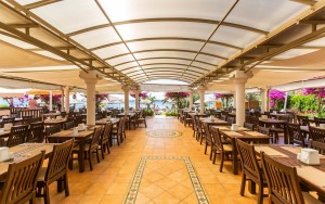 رستوران رستوران