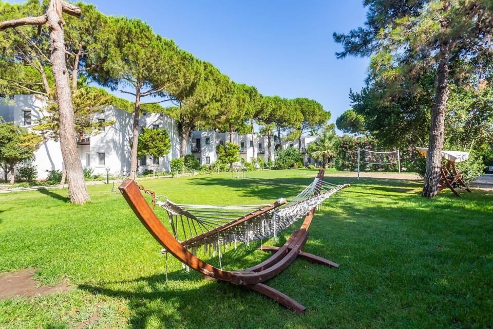 محوطه هتل محوطه هتل