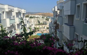 محوطه هتل محوطه هتل