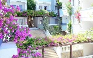 محوطه هتل محوطه هتل