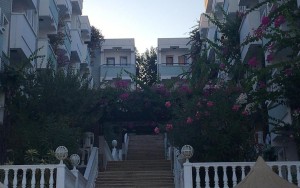 محوطه هتل محوطه هتل