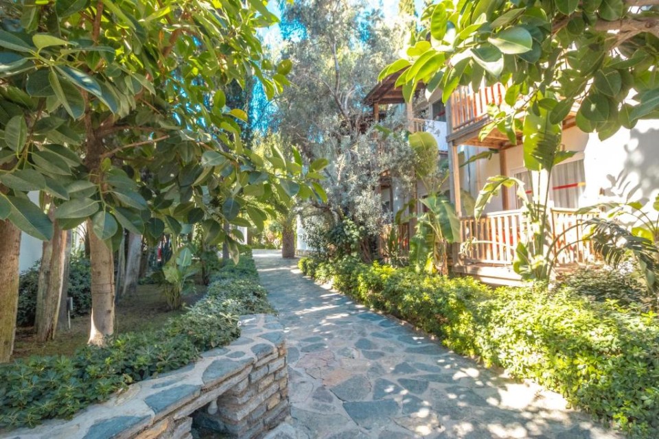 محوطه هتل محوطه هتل