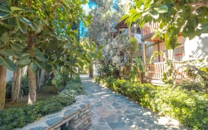 محوطه هتل محوطه هتل