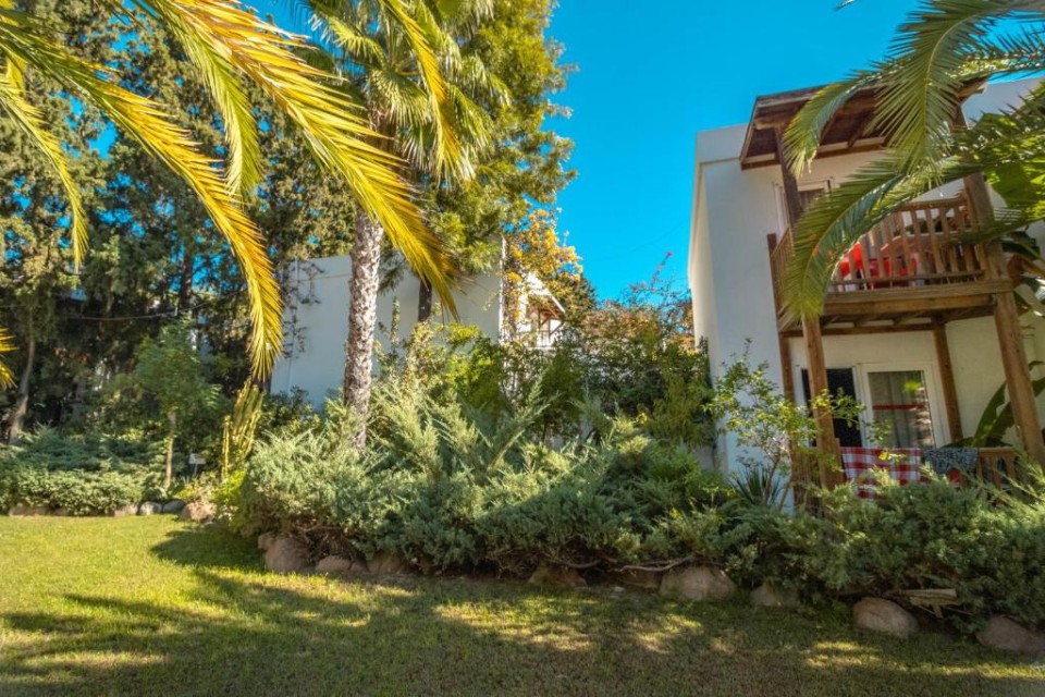 محوطه هتل محوطه هتل