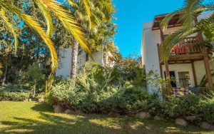 محوطه هتل محوطه هتل