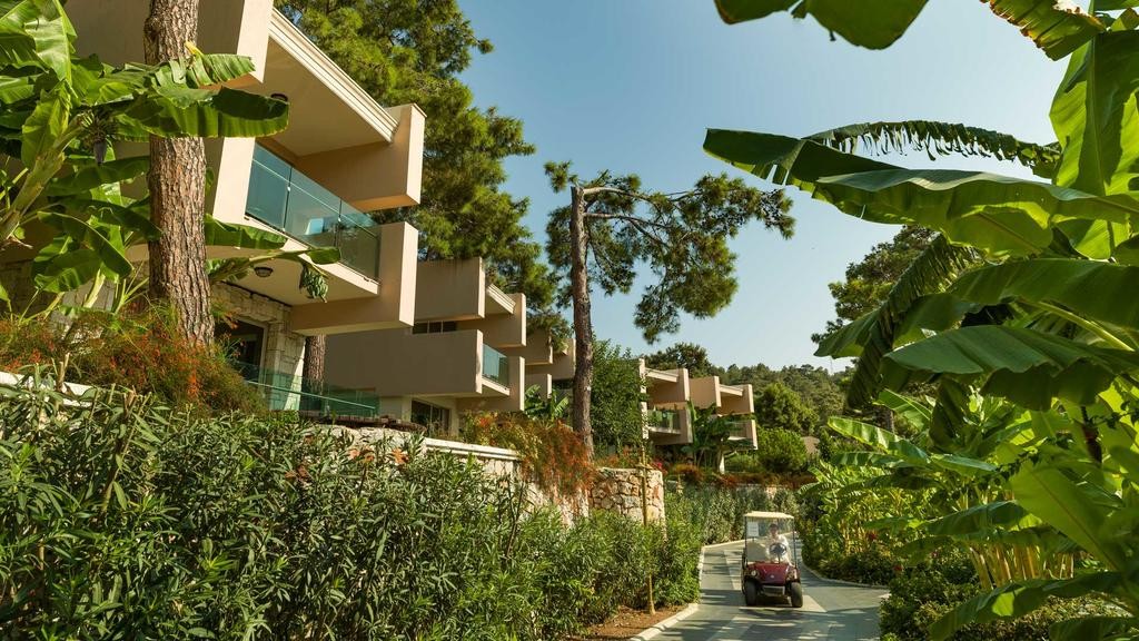 محوطه محوطه