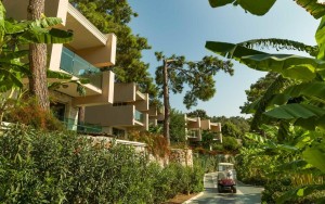 محوطه محوطه