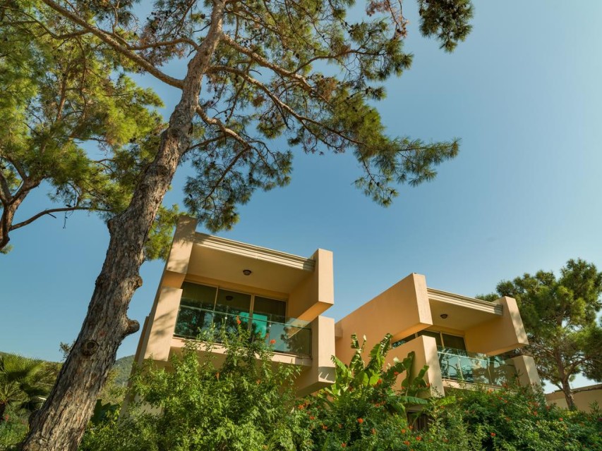 محوطه محوطه