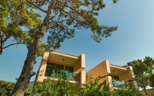 محوطه محوطه