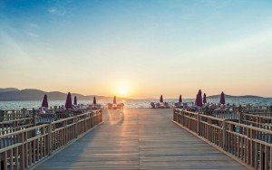 محوطه هتل محوطه هتل