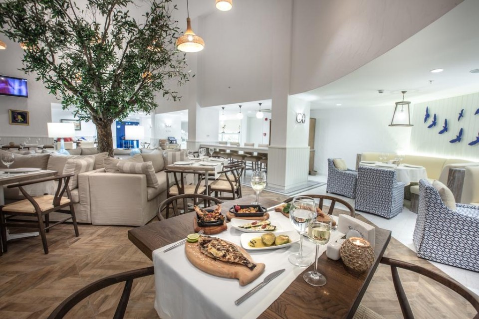 رستوران رستوران