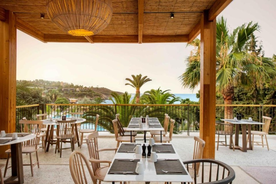 رستوران رستوران