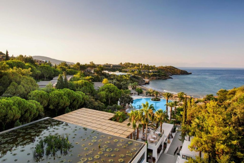 محوطه هتل محوطه هتل