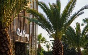 محوطه هتل محوطه هتل