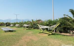 محوطه هتل محوطه هتل