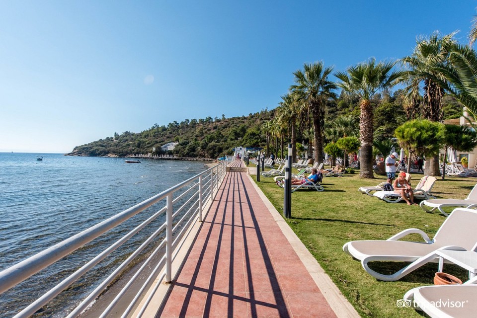 محوطه هتل محوطه هتل