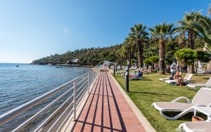 محوطه هتل محوطه هتل