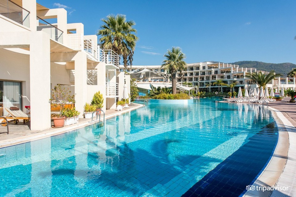 محوطه هتل محوطه هتل