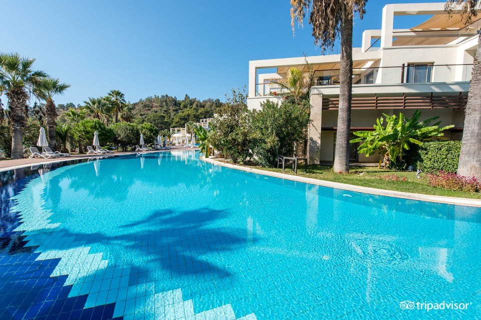 محوطه هتل محوطه هتل