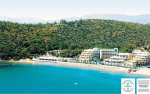 محوطه هتل محوطه هتل