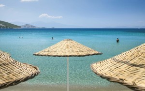 ساحل اختصاصی