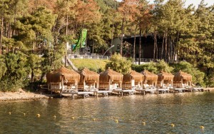 محوطه هتل محوطه هتل