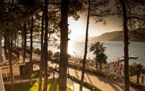 محوطه هتل محوطه هتل