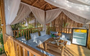 رستوران رستوران