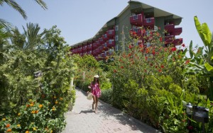 محوطه هتل محوطه هتل