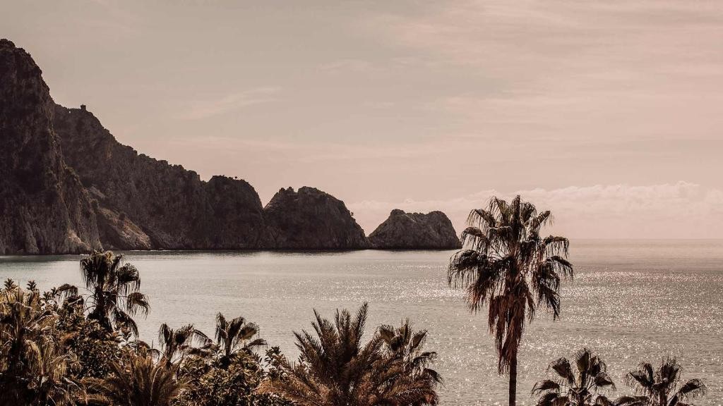 محوطه هتل محوطه هتل