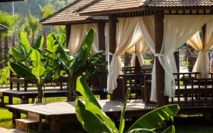 محوطه هتل محوطه هتل