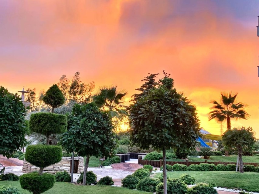 محوطه هتل محوطه هتل