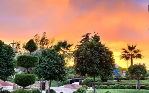 محوطه هتل محوطه هتل