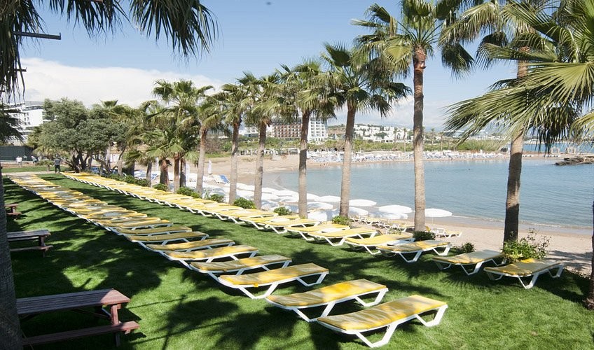 محوطه هتل محوطه هتل