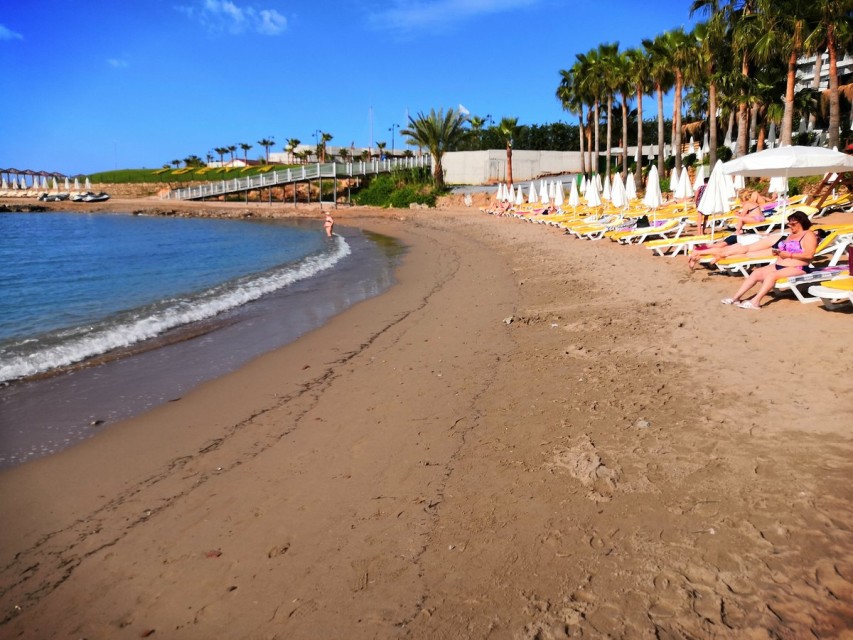 محوطه هتل محوطه هتل