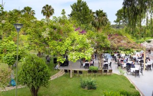 محوطه هتل محوطه هتل