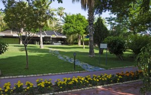 محوطه هتل محوطه هتل