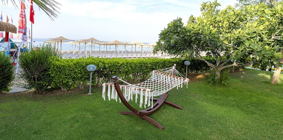 محوطه هتل محوطه هتل