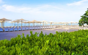 محوطه هتل محوطه هتل