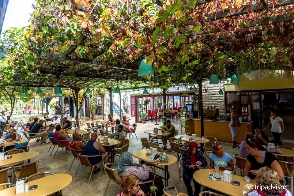 رستوران رستوران