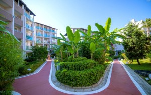 محوطه هتل محوطه هتل