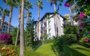 محوطه هتل محوطه هتل