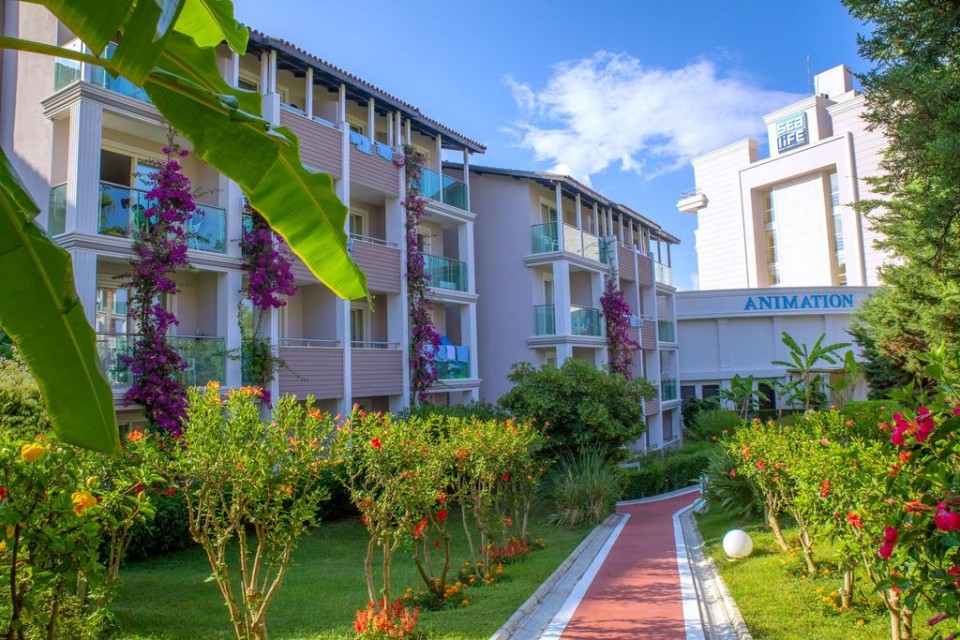 محوطه هتل محوطه هتل