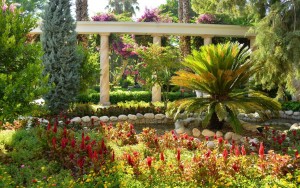 محوطه هتل محوطه هتل