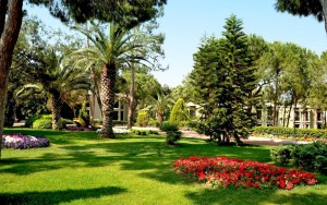 محوطه هتل محوطه هتل