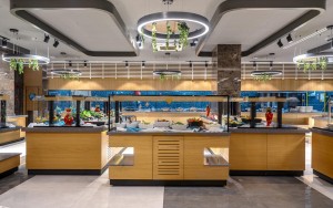 رستوران رستوران