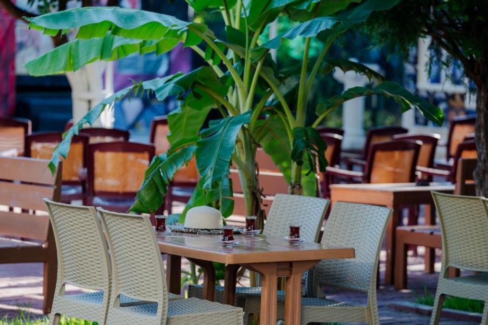 محوطه هتل محوطه هتل