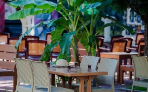 محوطه هتل محوطه هتل