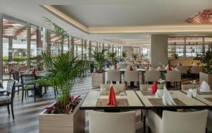 رستوران رستوران